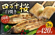 【通常用】極上国産うなぎ四万十桜　白焼き約140g✕3尾 | うなぎ 鰻 白焼き 国産 四万十鰻 ウナギ 蒲焼き 調理済み タレ付き ギフト（お歳暮/お正月）高級 お取り寄せ グルメ ウナギ 食べ比べ 冷凍 家庭用