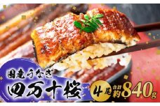 【通常用】特大 極上国産うなぎ四万十桜 蒲焼き約210g✕4尾 | うなぎ 鰻 蒲焼き 国産 四万十鰻 白焼き 調理済み タレ付き ギフト（お歳暮/お正月）高級 お取り寄せ グルメ 食べ比べ 冷凍