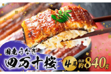 【通常用】特大 極上国産うなぎ四万十桜 蒲焼き約210g✕4尾 | うなぎ 鰻 蒲焼き 国産 四万十鰻 白焼き 調理済み タレ付き ギフト（お歳暮/お正月）高級 お取り寄せ グルメ 食べ比べ 冷凍