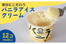 バニラアイスクリーム110ml✕12個 | アイスクリーム 人気 大容量 有名 アイスセット 詰め合わせ スイーツ ジェラート 久保田食品 高知県 南国市