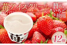 苺アイスクリーム110ml✕12個 | アイスクリーム 人気 大容量 有名 アイスセット 詰め合わせ スイーツ ジェラート 久保田食品 高知県 南国市