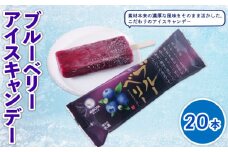 ブルーベリーアイスキャンデー80ml✕20本 | アイスクリーム 人気 大容量 有名 アイスセット 詰め合わせ スイーツ ジェラート 久保田食品 高知県 南国市