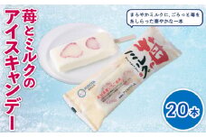 苺とミルクのアイスキャンデー80ml✕20本 | アイスクリーム 人気 大容量 有名 アイスセット 詰め合わせ スイーツ ジェラート 久保田食品 高知県 南国市