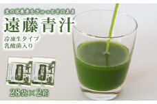 遠藤青汁 【生】 冷凍 2箱 5.6kg( 100g × 56袋 ) | 健康 美容 乳酸菌 国産 ケール ビタミン ミネラル 食物繊維 冷凍 ロングセラー お試し青汁 遠藤青汁 新鮮 高知県 南国市