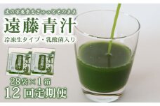 【12回定期便】 遠藤青汁 【生】 冷凍 1箱 2.8kg( 100g × 28袋 ) | 健康 美容 乳酸菌 国産 ケール ビタミン ミネラル 食物繊維 冷凍 ロングセラー お試し青汁 遠藤青汁 新鮮 高知県 南国市
