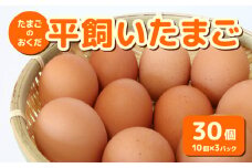 平飼い卵 30個入り (10個×3パック) | たまごのおくだ 新鮮 平飼い 卵 たまご 鶏卵 卵黄 エッグ たまごかけ ご飯 玉子 タマゴ 玉子焼き たまご焼き すき焼き 鶏 ケーキ 産地直送 国産 高知県 南国市 ふるさと納税