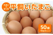 平飼い卵 50個入り (10個×5パック)【たまご 卵 タマゴ 鶏卵 たまごかけごはん TKG オムレツ 卵かけご飯 たまご焼き おいしい おすすめ 高知県 南国市】