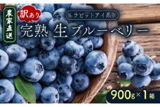 訳あり 完熟生ブルーベリー（ラビットアイ系）900g | 2026年発送 ブルーベリー ベリー フルーツ 果物 くだもの 産地直送 期間限定 数量限定 わけあり 訳アリ 生 旬 季節限定 高知県 南国市
