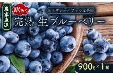訳あり 完熟生ブルーベリー（サザンハイブッシュ系）900g | 2026年発送 早期予約 ブルーベリー ベリー フルーツ 果物 くだもの 産地直送 期間限定 数量限定 わけあり 訳アリ 生 旬 季節限定 高知県 南国市