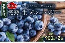 訳あり 完熟生ブルーベリー（サザンハイブッシュ系）1800g | 2026年発送 早期予約 ブルーベリー ベリー フルーツ 果物 くだもの 産地直送 期間限定 数量限定 わけあり 訳アリ 生 旬 季節限定 高知県 南国市