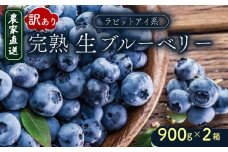 訳あり 完熟生ブルーベリー（ラビットアイ系）1800g | 2026年発送 ブルーベリー ベリー フルーツ 果物 くだもの 産地直送 期間限定 数量限定 わけあり 訳アリ 生 旬 季節限定 高知県 南国市