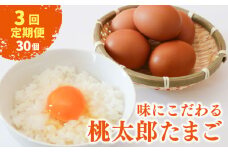 【3回定期便】タマゴ好きにはたまらない  桃太郎たまご 6個入り×5セット | 定期便 毎月 たまご 卵 鶏卵 たまごかけごはん たまごかけ TKG ブランド おいしい 高級 人気 おすすめ 高知県 南国市