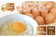 【定期便12回】平飼い卵 50個入り (10個×5パック) | たまご 卵 タマゴ 鶏卵 たまごかけごはん TKG オムレツ 卵かけご飯 たまご焼き おいしい おすすめ 高知県 南国市