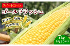 訳あり スイートコーン (ゴールドラッシュ) 7㎏（約20本） | 2026年発送 6月 早期予約 贈答用 ギフト用にも スイート コーン 野菜 トウモロコシ とうもろこし 厳選 人気 夏 やさい 旬 甘い 先行予約 産地直送 数量限定 冷蔵 期間限定 季節限定 おすすめ 高知県 南国市