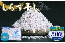 【定期便12回】しらす干し500g（250g×2パック）|しらす干し 釜揚げ ごはん 丼 パスタ チャーハン サラダ 魚 料理 高知県 南国市 シラス しらす ちりめん じゃこ かちり 小魚 魚貝 魚貝類 しらす シラス 海鮮 しらす丼 シラス丼 ふるさと納税しらすしらす おすすめ 高知産しらす 高知県産しらす 米 こめ コメ に合う