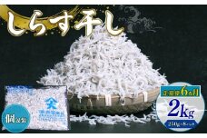 【定期便6回】しらす干し2kg（250g×8パック）|しらす干し 釜揚げ ごはん 丼 パスタ チャーハン サラダ 魚 料理 高知県 南国市 シラス しらす ちりめん じゃこ かちり 小魚 魚貝 魚貝類 しらす シラス 海鮮 しらす丼 シラス丼 ふるさと納税しらすしらす おすすめ 高知産しらす 高知県産しらす 米 こめ コメ に合う