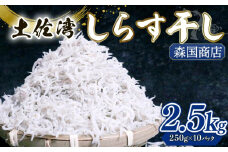 【土佐湾からの贈りもの】しらす干し2.5kg（250g×10パック）|しらす干し 釜揚げ ごはん 丼 パスタ チャーハン サラダ 魚 料理 高知県 南国市 シラス しらす ちりめん じゃこ かちり 小魚 魚貝 魚貝類 しらす シラス 海鮮 しらす丼 シラス丼 ふるさと納税しらす しらす おすすめ 高知産しらす 高知県産しらす 米 こめ コメ に合う