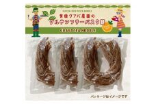 有機グアバ農園のグルテンフリー玄米パスタ麺 100g×12袋セット | グルテン フリー ダイエット 健康 食品 健康 メン 人気 おすすめ 高知県 南国市