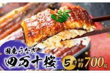 【贈答用】極上国産うなぎ四万十桜 蒲焼き約140g×5尾 | 完全無投薬 うなぎ 鰻 蒲焼き 国産 四万十鰻 白焼き 調理済み タレ付き ギフト（お歳暮/お正月）高級 お取り寄せ グルメ 食べ比べ 冷凍