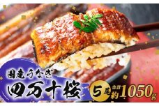 【贈答用】特大 極上国産うなぎ四万十桜 蒲焼き約210g✕5尾 | うなぎ 鰻 蒲焼き 国産 四万十鰻 白焼き 調理済み タレ付き ギフト（お歳暮/お正月）高級 お取り寄せ グルメ 食べ比べ 冷凍