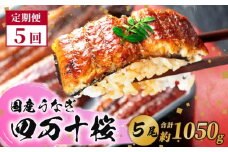 【贈答用】【5回定期便】特大 極上国産うなぎ四万十桜　蒲焼き約210g×5尾|うなぎ 鰻 蒲焼き 定期便 国産 四万十鰻 白焼き 調理済み タレ付き 頒布会 ギフト（お歳暮/お正月）高級 お取り寄せ グルメ 食べ比べ 冷凍