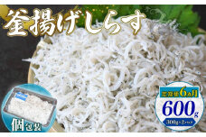 【定期便6回】釜揚げしらす 600g（300g×2パック）|しらす干し 釜揚げ ごはん 丼 パスタ 魚 料理 高知県 南国市 シラス しらす ちりめん じゃこ かちり 小魚 魚貝 魚貝類 しらす シラス 海鮮 しらす丼 シラス丼 ふるさと納税しらすしらす おすすめ 高知産しらす 高知県産しらす 米 こめ コメ に合う
