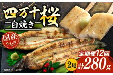 【通常用】【12回定期便】極上国産うなぎ四万十桜 白焼き約140g✕2尾 | うなぎ 鰻 ウナギ 白焼き 定期便 国産 四万十鰻 ウナギ 蒲焼き 調理済み タレ付き 頒布会 ギフト（お歳暮/お正月）高級 お取り寄せ グルメ 食べ比べ 冷凍