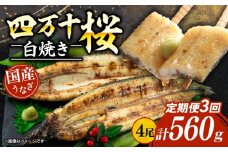 【通常用】【3回定期便】極上国産うなぎ四万十桜 白焼き約140g✕4尾 | うなぎ 鰻 ウナギ 白焼き 定期便 国産 四万十鰻 ウナギ 蒲焼き 調理済み タレ付き 頒布会 ギフト（お歳暮/お正月）高級 お取り寄せ グルメ 食べ比べ 冷凍