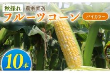 秋採れ 南国フルーツコーン バイカラー種 10本 | とうもろこし セット 先行予約 国産 詰合せ 期間限定 数量限定 人気 高知県 南国市