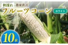 秋採れ 南国フルーツコーン ホワイト種 10本 | とうもろこし セット 先行予約 国産 詰合せ 期間限定 数量限定 人気 高知県 南国市