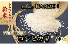 【新米】 【数量限定】 令和7年度 コシヒカリ 5㎏ 発送スタート  超早場米 米 コメ お米 精米 早場米 新米 ご飯 おにぎり こめ 白米 高知県 南国市