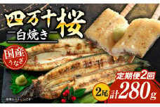 【贈答用】【2回定期便】極上国産うなぎ四万十桜 白焼き約140g×2尾 | うなぎ 鰻 ウナギ 白焼き 定期便 国産 四万十鰻 ウナギ 蒲焼き 調理済み タレ付き 頒布会 ギフト（お歳暮/お正月）高級 お取り寄せ グルメ 食べ比べ 冷凍