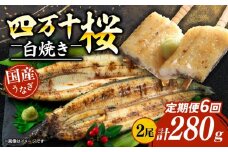 【贈答用】【6回定期便】極上国産うなぎ四万十桜 白焼き約140g×2尾 | うなぎ 鰻 ウナギ 白焼き 定期便 国産 四万十鰻 ウナギ 蒲焼き 調理済み タレ付き 頒布会 ギフト（お歳暮/お正月）高級 お取り寄せ グルメ 食べ比べ 冷凍
