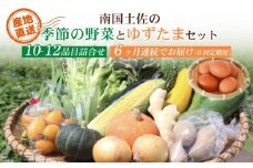 【毎月お届け 全6回コース】南国土佐の季節野菜と卵（ゆずたま）の詰め合わせセット | 毎月 連続発送 定期便 セット 詰め合わせ 旬 やさい たまご 卵 柚子 ゆず ゆずたま 農家直送 人気 高知県 南国市