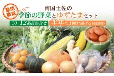 【半年に1回お届け 全2回コース】南国土佐の季節野菜と卵（ゆずたま）の詰め合わせセット | 定期便 セット 詰め合わせ 旬 やさい たまご 卵 柚子 ゆず ゆずたま 農家直送 人気 高知県 南国市