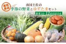 南国土佐の季節野菜と卵（ゆずたま）の詰め合わせセット | セット 詰め合わせ 旬 やさい 野菜 たまご 卵 柚子 ゆず ゆずたま 農家直送 お楽しみ かぼちゃ カボチャ キャベツ きゃべつ トマト とまと 玉ねぎ たまねぎ タマネギ きゅうり キュウリ 旬野菜 夏野菜 春野菜 人気 高知県 南国市