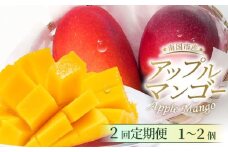 【2回定期便】完熟アップルマンゴー 1～2個 500g | 定期便 マンゴー フルーツ くだもの デザート 高評価 厳選 高級 ギフト 贈り物 人気 おすすめ アップルマンゴー 果物 食品 高知県 南国市
