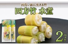 四方竹 水煮 100g×2パック シャキシャキ 食感 珍味 季節 特産 珍しい 柔らか 筍 タケノコ 竹の子 煮物 おでん サラダ 和え物 天ぷら キンピラ お寿司 高知県 南国市