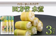 四方竹 水煮 100g×3パック シャキシャキ 食感 珍味 季節 特産 珍しい 柔らか 筍 タケノコ 竹の子 煮物 おでん サラダ 和え物 天ぷら キンピラ お寿司 高知県 南国市