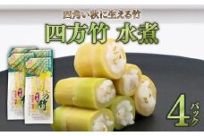 四方竹 水煮 100g×4パック シャキシャキ 食感 珍味 季節 特産 珍しい 柔らか 筍 タケノコ 竹の子 煮物 おでん サラダ 和え物 天ぷら キンピラ お寿司 高知県 南国市