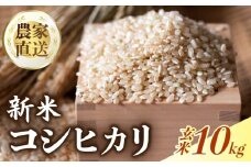 【新米 玄米 10㎏】 【数量限定】 令和7年度 コシヒカリ 玄米 10㎏  8月20日から 出荷開始 超早場米 米 コメ お米 精米 早場米 新米 ご飯 おにぎり こめ 白米 高知県 南国市