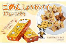ごめんしょうがパイ 10個×2箱 やなせたかし デザイン 生姜 ごめん ごめんなさい はちみつ おやつ サクサク 高知県 南国市