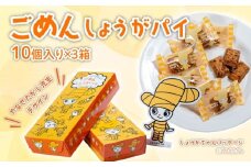 ごめんしょうがパイ 10個×3箱 やなせたかし デザイン 生姜 ごめん ごめんなさい はちみつ おやつ サクサク 高知県 南国市