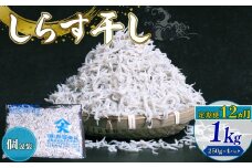 【定期便12回】しらす干し1kg（250g×4パック）| しらす干し 釜揚げ ごはん 丼 パスタ チャーハン サラダ 魚 料理 シラス しらす ちりめん じゃこ かちり 小魚 魚貝 魚貝類 しらす シラス 海鮮 しらす丼 シラス丼 ふるさと納税しらすしらす おすすめ 高知産しらす 高知県産しらす 米 こめ コメ に合う