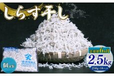 【定期便6回】しらす干し2.5kg（250g×10パック）|しらす干し 釜揚げ ごはん 丼 パスタ チャーハン サラダ 魚 料理 高知県 南国市 シラス しらす ちりめん じゃこ かちり 小魚 魚貝 魚貝類 しらす シラス 海鮮 しらす丼 シラス丼 ふるさと納税しらすしらす おすすめ 高知産しらす 高知県産しらす 米 こめ コメ に合う