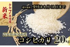 【新米】 【8月31日まで】 令和7年度 コシヒカリ 20㎏ 5㎏×4 発送スタート  超早場米 米 コメ お米 精米 早場米 新米 ご飯 おにぎり こめ 白米 高知県 南国市