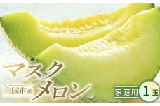 家庭用 メロン 1玉 | マスクメロン 1個 フルーツ 果物 厳選 高級 青肉メロン 人気 デザート ギフト プレゼント 贈り物 くだもの 旬 お取り寄せ 訳アリメロン 甘い 青肉 メロン 高糖度メロン 訳あり 産地直送メロン 訳ありメロン 1万円 10000 万円 高知県 南国市