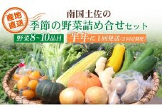 【半年に1回お届け 全2回コース】南国土佐の季節の野菜詰め合せセット | 定期便 セット 詰め合わせ 旬 やさい 野菜 卵 農家直送 お楽しみ かぼちゃ カボチャ キャベツ きゃべつ トマト とまと 玉ねぎ たまねぎ タマネギ きゅうり キュウリ 旬野菜 夏野菜 春野菜 人気 高知県 南国市