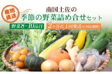 【2ヶ月に1回お届け 全6回コース】南国土佐の季節の野菜詰め合せセット | 定期便 セット 詰め合わせ 旬 やさい 野菜 卵 農家直送 お楽しみ かぼちゃ カボチャ キャベツ きゃべつ トマト とまと 玉ねぎ たまねぎ タマネギ きゅうり キュウリ 旬野菜 夏野菜 春野菜 人気 高知県 南国市