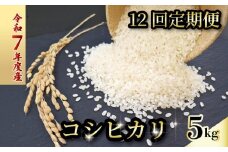 【お米定期便】 【12回】 令和7年度 コシヒカリ 数量限定 各5キロ 米 コメ 減農薬栽培 お米 精米 早場米 新米 ご飯 おにぎり こめ 白米 低化学肥料 高知県 南国市